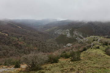 The viewpoint of the Monument to the roe deer in the Saja-Besaya Natural Park. Spain