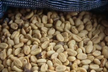 A very close-up of many coffees peeled seeds in a blue handmade burlap 