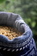 A close-up of coffee seeds in a blue handmade burlap