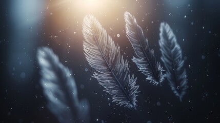   A tight shot of a single feather against an indistinct backdrop, illuminated by a sunbeam passing through the frame - obrazy, fototapety, plakaty