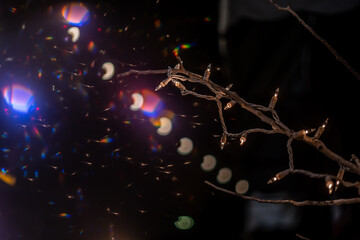 Lights, Bokeh and Rainbows on Tree Branches Dark Wallpaper Backgrounds Textures