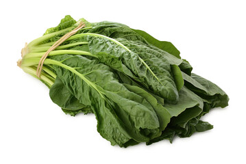 pile of green leafy vegetables, lettuce, isolated