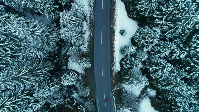 High altitude birds eye view drone shot of two cyclists ride in secluded winter forest road. Adventure cycling and exploring new destinations. Cinematic cycling location