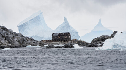 Abandoned Shack Surrounded by Small Penguins and Icebergs in Antarctica
