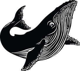 Whale.eps © Prapas