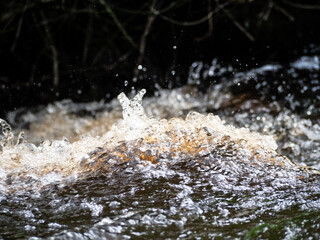 Closeup of fast running river water, White water flowing along the river bank. water splashes over...