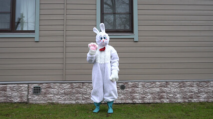 White  rabbit. Person in a bunny suit.