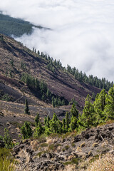 Montes y mar de nubes en el norte de la isla de Tenerife, Canarias