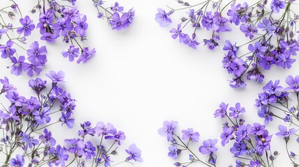   A collection of purple flowers atop a pristine white backdrop, with ample room below for text inscription