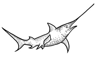 Swordfish sketch engraving PNG illustration. Scratch board style imitation. Hand drawn image.