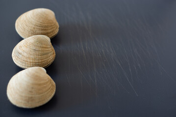 three clams on a grey board
