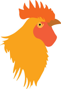 Rooster head isolated on white background. Bright plumage of a bird. vector illustration.  Suitable for postcard, advertising, stamp