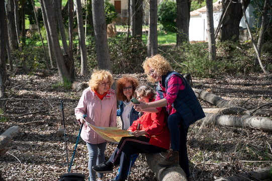 Group of friends sharing a map during a hike in the woods