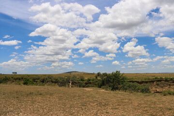 landscape with sky and clouds over Masai Mara national park