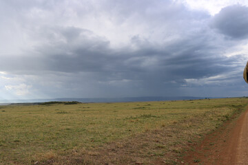 landscape with clouds over Masai Mara national park