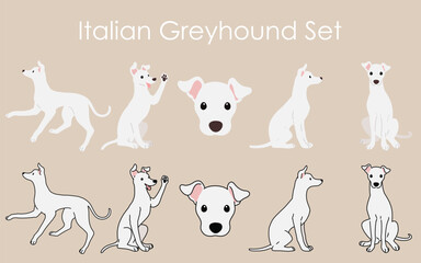 Simple and adorable white Italian Greyhound illustrations set