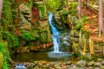 waterfall in the forest