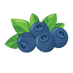 Blueberries with leaves. Vector illustration isolated on a white background.