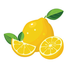 Lemon fruit isolated on white background. Vector illustration. 