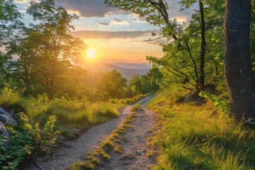 Fototapeta na wymiar Woods Sun. Summer Sunset Adventure on Hiking Path in Beautiful Landscape