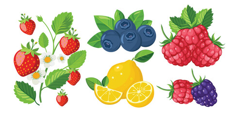 Fruits and berries set. Strawberry, raspberry, blueberry, lemon. Vector illustration