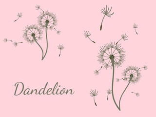 Dandelion_background2-13.eps