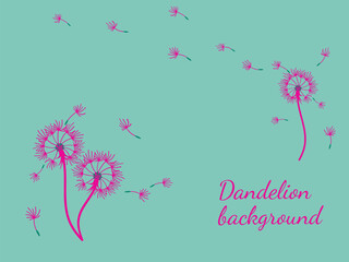 Dandelion_background4-21.eps