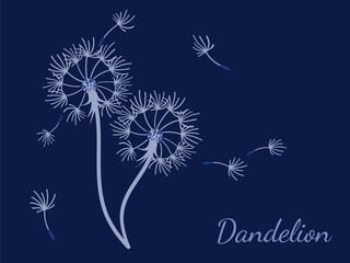 Dandelion_background5-01.eps