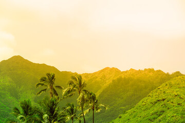 Beautiful Mountain sunrise palm trees tropical landscape  on Oahu, Hawaii