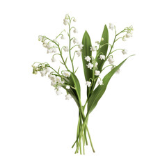 A cluster of delicate lilies of the valley blooms stands out against a transparent background