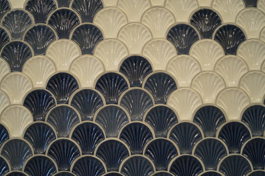 Shell Pattern Images – Browse 319,027 Stock Photos, Vectors, and Video ...