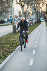 Man Riding Bicycle Down Tree-Lined Street