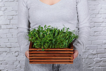 A woman with a box of microgreens against a white wall, presenting her hobby of growing a...
