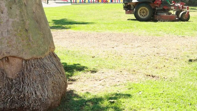 Worker sitting on tractor lawnmower mowing fresh green lawn in park