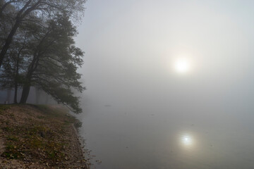 Fototapeta premium The picturesque shore of Lake Naroch on a foggy morning summer day, Belarus.