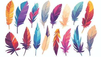 Vector colored bird feathers isolated on the alpha