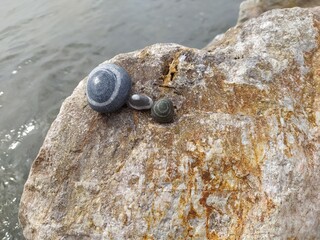 Sea pebbles - stones with patterns on the coast near the sea