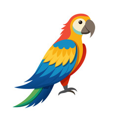 Tropical parrot bird cartoon style on white background