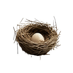 nest with eggs, egg in nest, cut out 