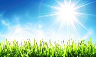 Obraz premium High detailed macro photo of grass.