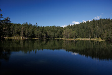  Idyllic Möserer See on a Bright Summer Day