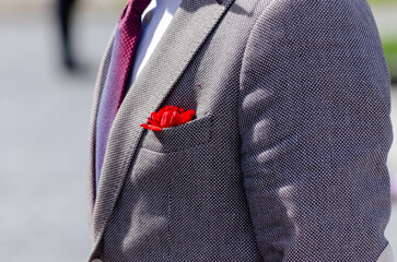 Detail of a red carnation on the jacket of a man in a suit celebrating April 25th in Portugal. Day...