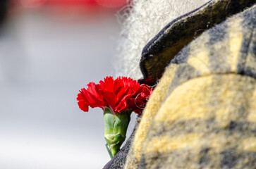 detail of a red carnation on a man's jacket celebrating April 25th in Portugal. Day of freedom,...