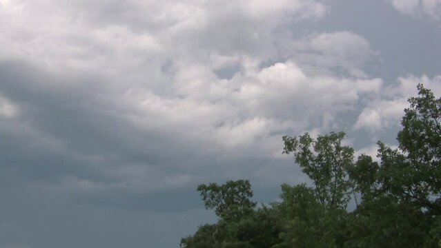 Storm clouds moving ominously over trees, in a time lapse clip.