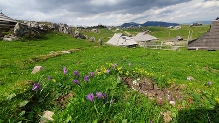 Alpine village in spring high in the mountains