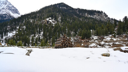 Wood logs stacked over immaculate snow