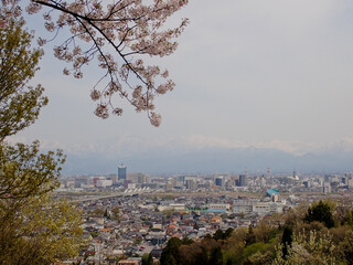 桜の丘から望む北陸新幹線と富山市街 - obrazy, fototapety, plakaty