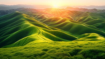   The sun brightly shines over green hills, their expanses covered with lush grass Mountains loom in the distant landscape - obrazy, fototapety, plakaty
