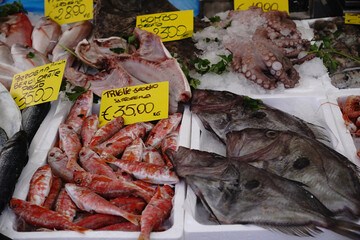 Fresh fish market hall