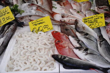 Fresh fish market hall